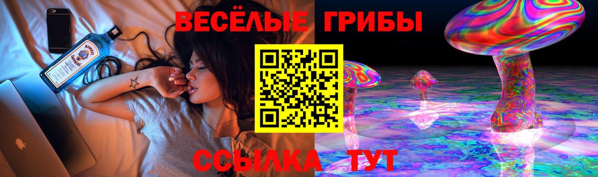 Псилоцибиновые грибы Cubensis Новокубанск