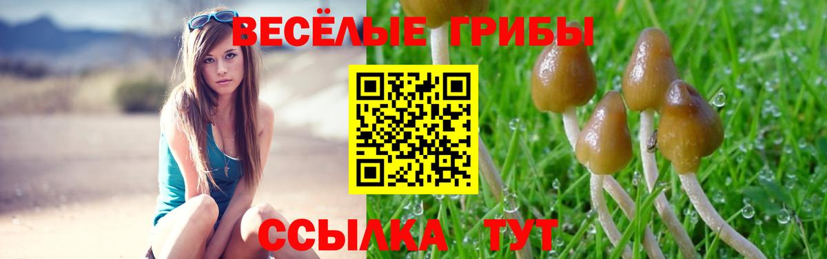 Новокубанск  Галлюциногенные грибы прущие грибы  Вход с VPN  Псилоцибиновые грибы прущие грибы 